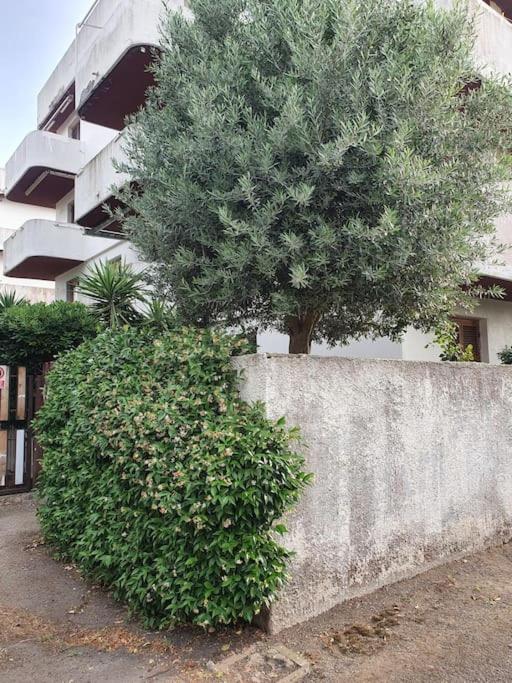 ççç Holiday Properties Le Vele ççç Montalto di Castro Extérieur photo