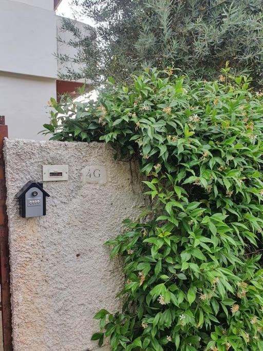 ççç Holiday Properties Le Vele ççç Montalto di Castro Extérieur photo