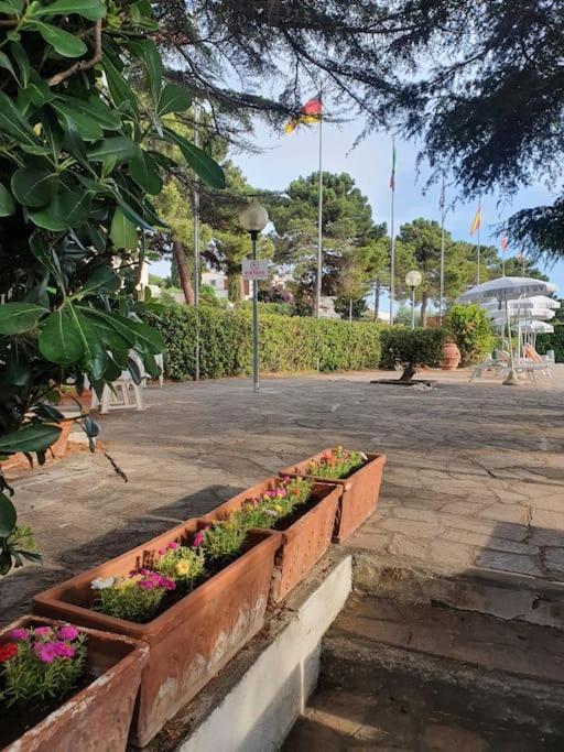 ççç Holiday Properties Le Vele ççç Montalto di Castro Extérieur photo